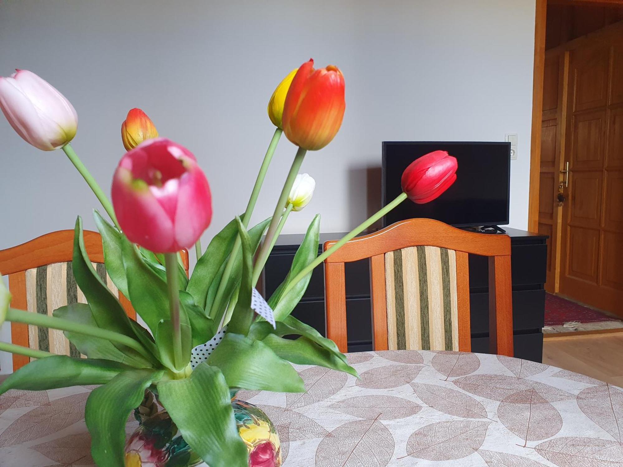 Feher Rozsa Apartman Cserszegtomaj Exterior photo