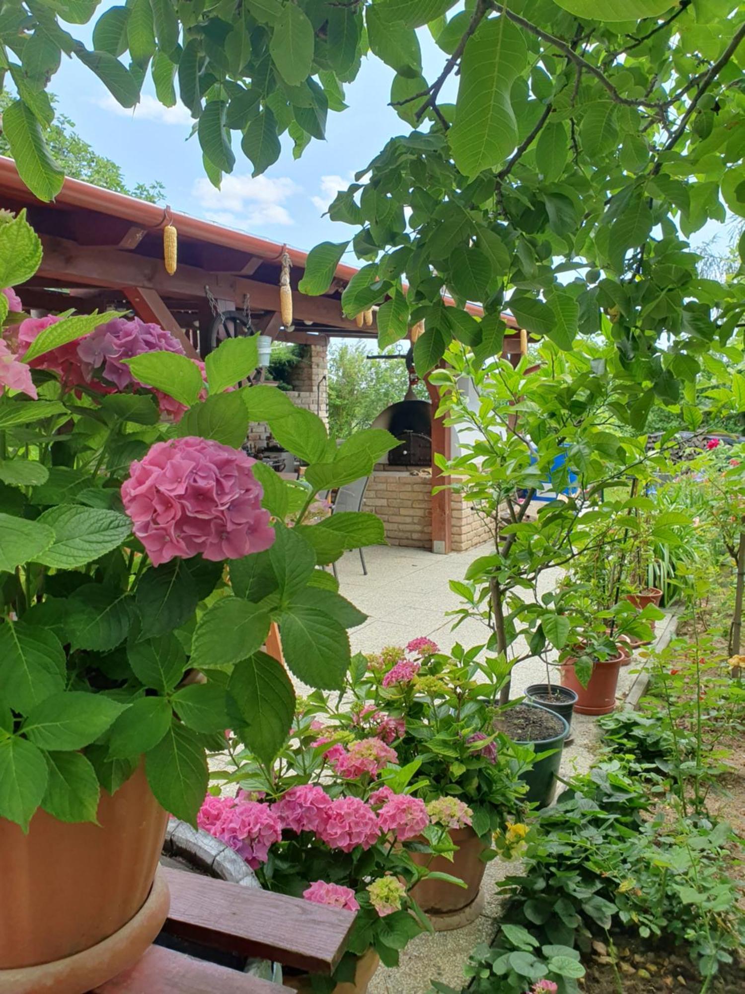 Feher Rozsa Apartman Cserszegtomaj Exterior photo
