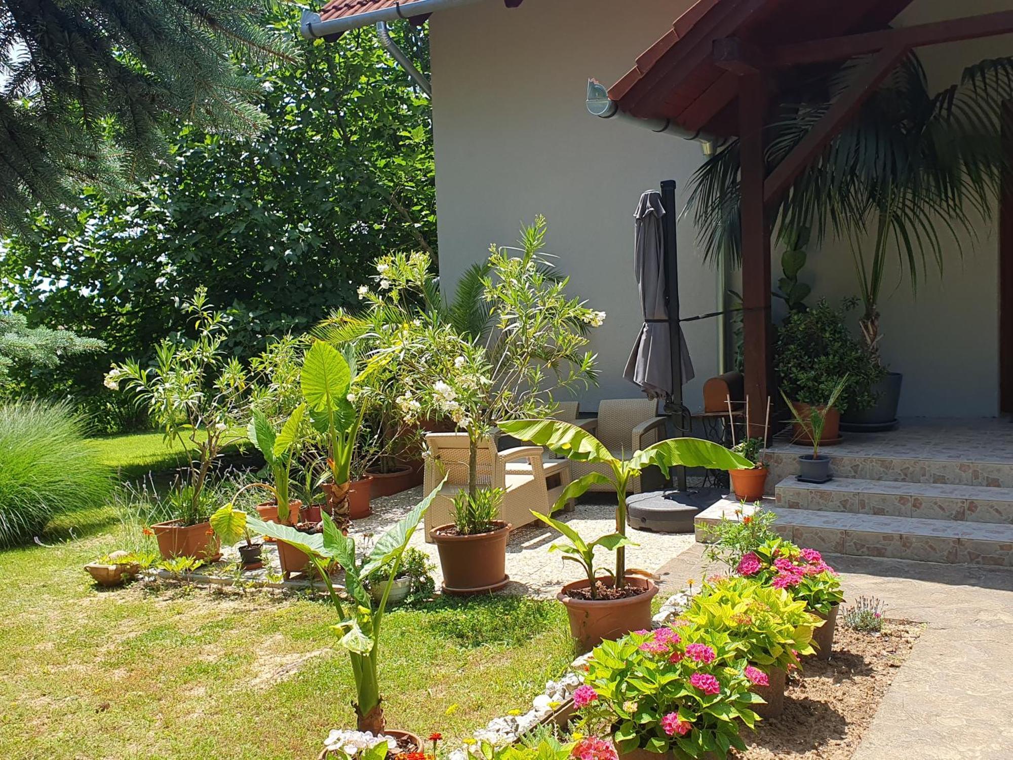 Feher Rozsa Apartman Cserszegtomaj Exterior photo